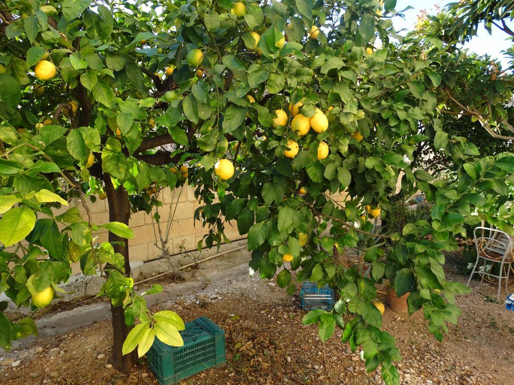 Il Giardino Del Corso Leilighet Avola Eksteriør bilde